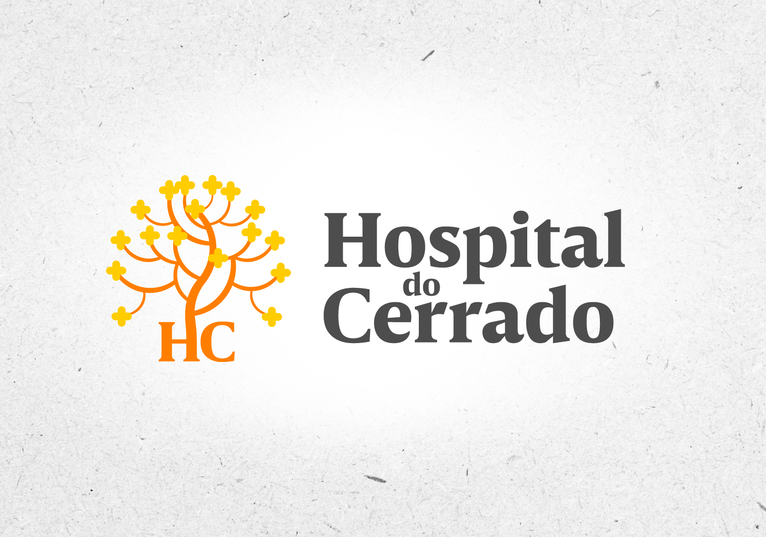 Hospital do Cerrado
