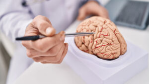 Neurologia é a especialidade que previne e trata as doenças e distúrbios neurológicos e musculares